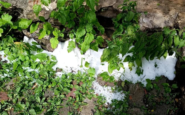 Kars'ta Şiddetli Sağanak ve Dolu Hayatı Felç Etti