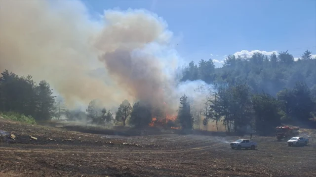 Adana Kozan'da Orman Yangını Alarmı Hızla Devam Ediyor