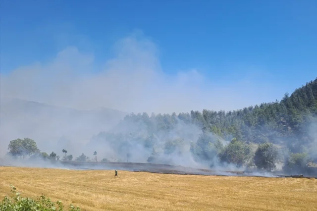 Adana Kozan'da Orman Yangını Alarmı Hızla Devam Ediyor