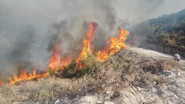 Manisa'nın Kula İlçesinde Orman Yangını Sürüyor