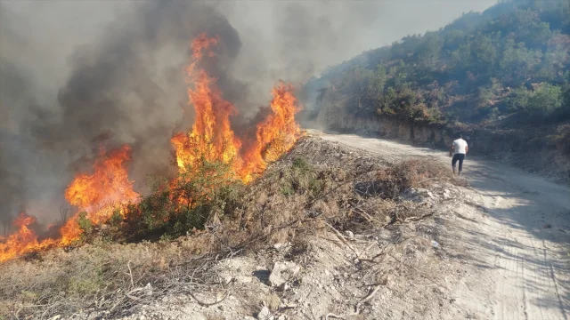 Manisa'nın Kula İlçesinde Orman Yangını Sürüyor