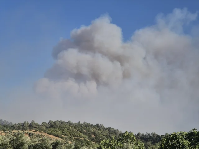 Manisa'nın Ahmetli İlçesindeki Yangına Hızlı Müdahale