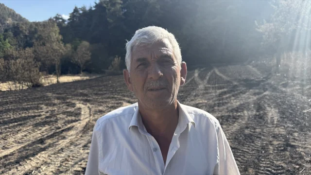Sakarya'da Orman Yangını Çiftçileri Vurdu: Felaketin Ardında...