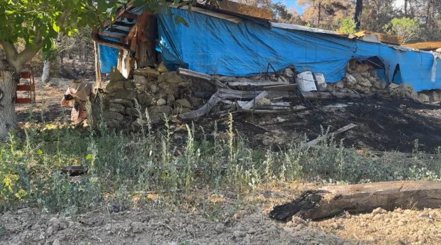 Sakarya'da Orman Yangını Çiftçileri Vurdu: Felaketin Ardından Gelen Mücadele