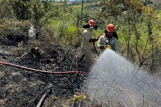 Adana Kozan'da Orman Yangını Alarmı Hızla Devam Ediyor