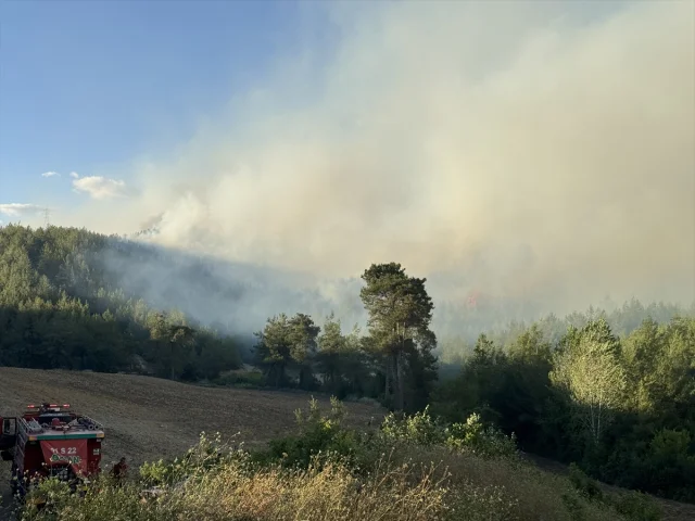Adana Kozan'da Orman Yangını Alarmı Hızla Devam Ediyor