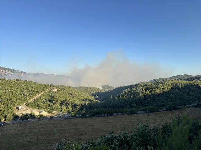 Adana Kozan'da Orman Yangını Alarmı Hızla Devam Ediyor
