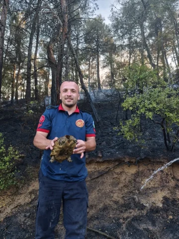 Sakarya'da Orman Yangını Sonrası Soğutma Çalışmaları Hız Kesmeden Devam Ediyor