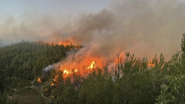 Adana Kozan'da Orman Yangını Alarmı Hızla Devam Ediyor