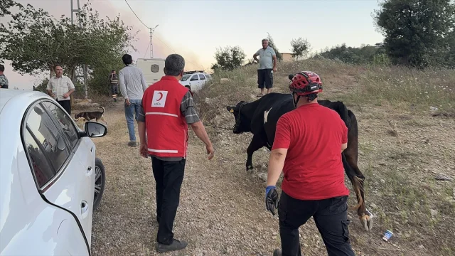 Adana Kozan'da Orman Yangını Alarmı Hızla Devam Ediyor