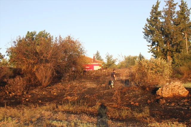 Antalya'da Aspendos Yakınlarında Çıkan Yangın Kontrol Altına...