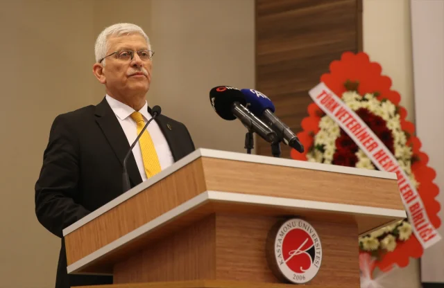 Veteriner Hekimlerden Yangın Mağduru Hayvanlara Destek
