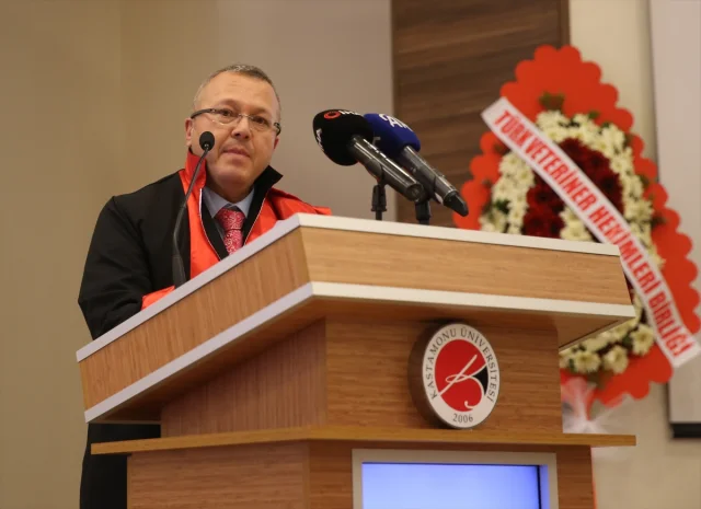 Veteriner Hekimlerden Yangın Mağduru Hayvanlara Destek