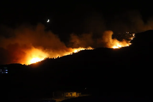 Hatay’da Orman Yangını Hızla Yayılıyor