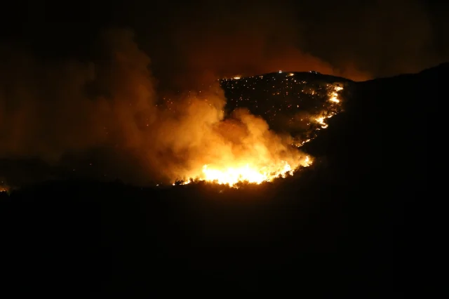 Hatay’da Orman Yangını Hızla Yayılıyor