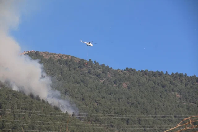 Hatay'daki Orman Yangını Kontrol Altına Alınmaya Çalışılıyor