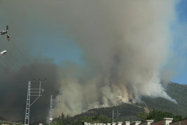 Hatay'daki Orman Yangını Kontrol Altına Alınmaya Çalışılıyor