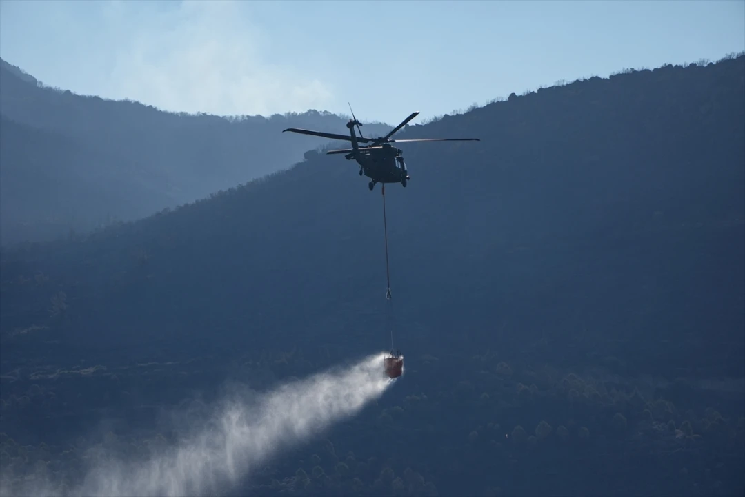 İzmir'de Orman Yangınlarına Müdahale Karadan ve Havadan Devam Ediyor