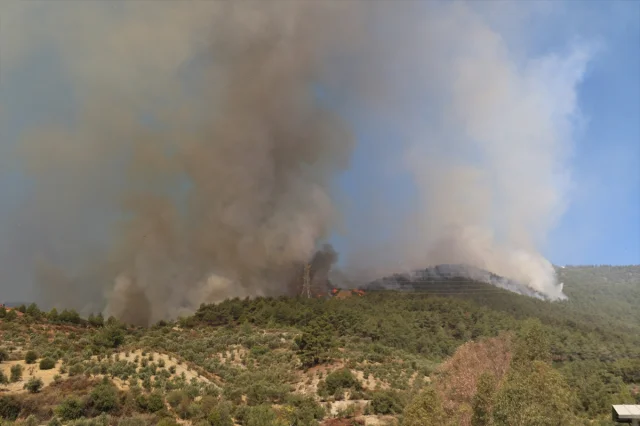 Hatay'daki Orman Yangını Kontrol Altına Alınmaya Çalışılıyor