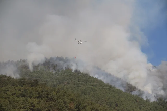 Hatay'daki Orman Yangını Kontrol Altına Alınmaya Çalışılıyor