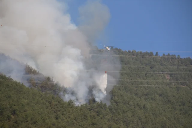 Hatay'daki Orman Yangını Kontrol Altına Alınmaya Çalışılıyor