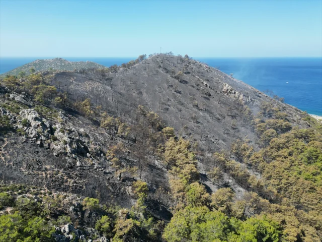 Antalya Gazipaşa'da Hızla Müdahale Edilen Orman Yangını Kont...