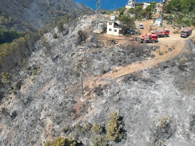 Antalya Gazipaşa'da Hızla Müdahale Edilen Orman Yangını Kontrol Altına Alındı