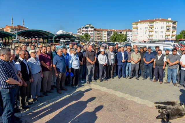 Taşköprü Sarımsağı Hem Yerel Hem Küresel Pazarların Gözdesi Olmaya Devam Ediyor