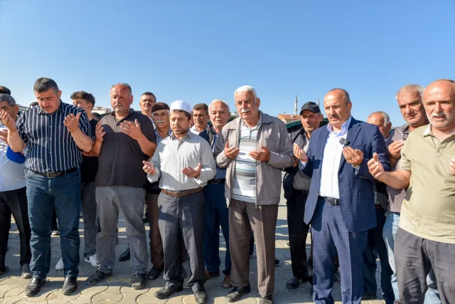 Taşköprü Sarımsağı Hem Yerel Hem Küresel Pazarların Gözdesi Olmaya Devam Ediyor
