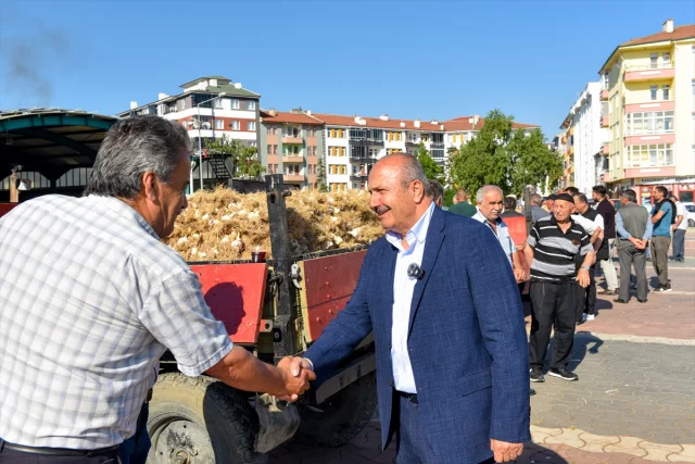 Taşköprü Sarımsağı Hem Yerel Hem Küresel Pazarların Gözdesi Olmaya Devam Ediyor