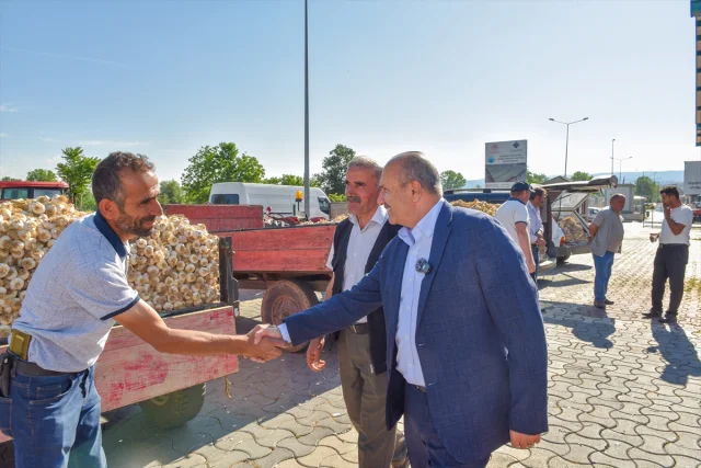 Taşköprü Sarımsağı Hem Yerel Hem Küresel Pazarların Gözdesi Olmaya Devam Ediyor