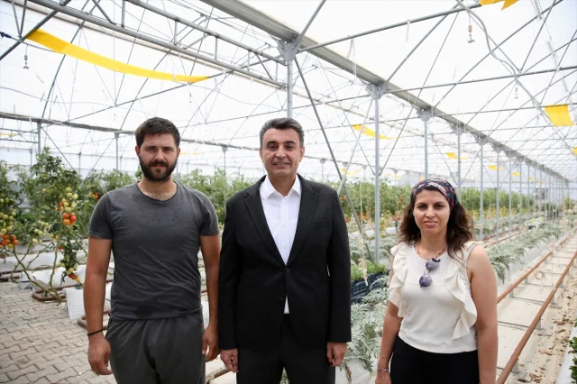 Kocaeli'de Yağmur Suyu ve Volkanik Cürufla Yetiştirilen Ürünler
