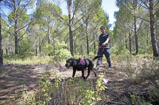 Muğla'da Orman Yangınları İçin Kritik Tedbirler