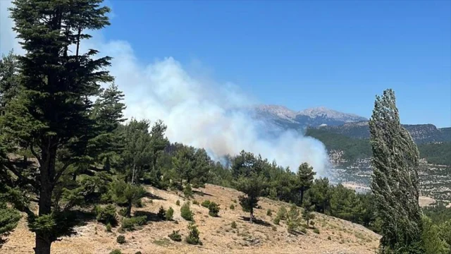 Isparta'da Orman Yangınına Hızlı Müdahale