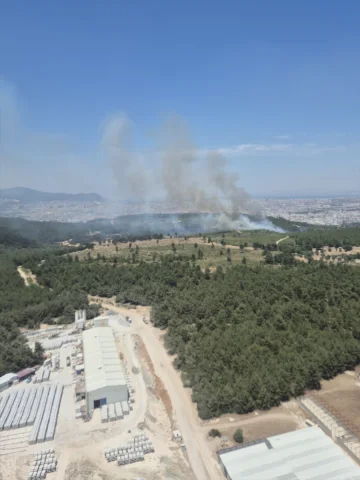 İzmir'de Buca'daki Orman Yangınına Hızlı Müdahale