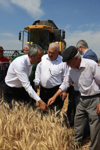 Edirne'nin Verimli Topraklarında Hasat Coşkusu