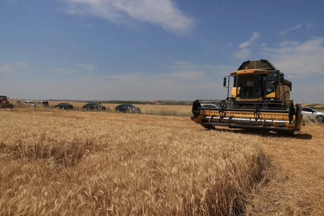 Edirne'nin Verimli Topraklarında Hasat Coşkusu