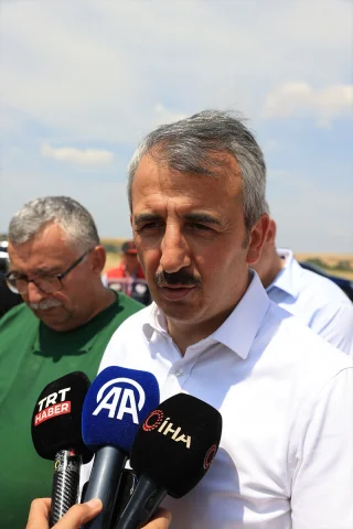 Edirne'nin Verimli Topraklarında Hasat Coşkusu