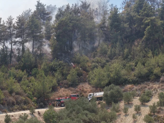 Hatay'daki Orman Yangınlarıyla Mücadele Devam Ediyor