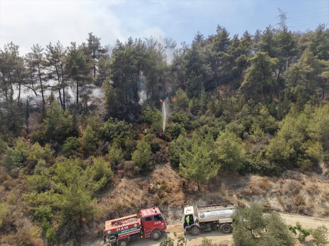 Hatay'daki Orman Yangınlarıyla Mücadele Devam Ediyor