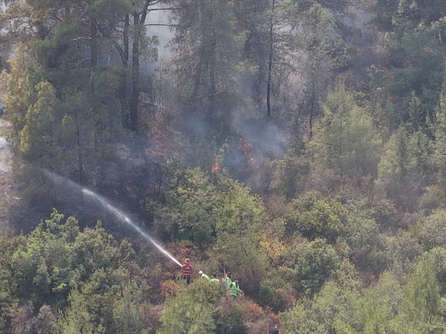Hatay'daki Orman Yangınlarıyla Mücadele Devam Ediyor