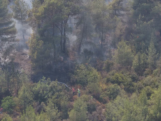 Hatay'daki Orman Yangınlarıyla Mücadele Devam Ediyor