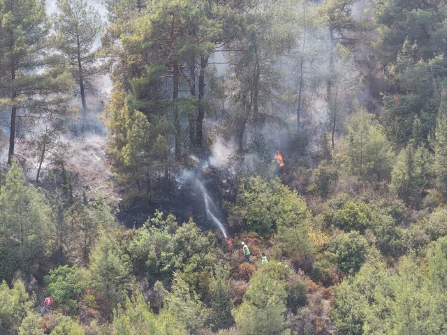 Hatay'daki Orman Yangınlarıyla Mücadele Devam Ediyor