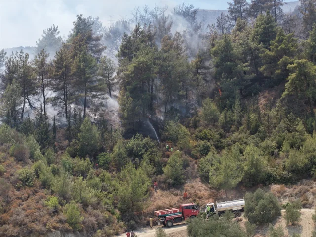 Hatay'daki Orman Yangınlarıyla Mücadele Devam Ediyor