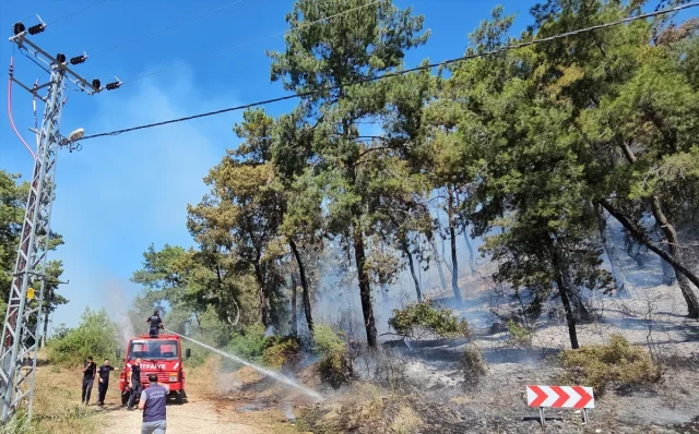Manavgat'ta Orman Yangını Söndürme Çalışmaları Tüm Hızıyla Devam Ediyor