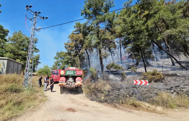 Manavgat'ta Orman Yangını Söndürme Çalışmaları Tüm Hızıyla Devam Ediyor