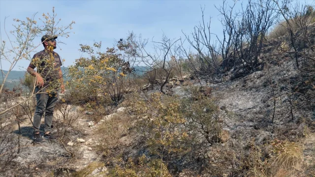 Hatay Samandağ'ın Makilik Alanındaki Yangın Kontrol Altına Alındı
