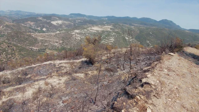 Hatay Samandağ'ın Makilik Alanındaki Yangın Kontrol Altına Alındı