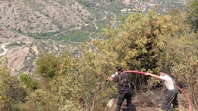 Hatay Samandağ'ın Makilik Alanındaki Yangın Kontrol Altına Alındı