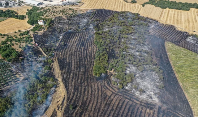 Bursa'da Arazi Yangınına Hızlı Müdahale Ormanı Korudu